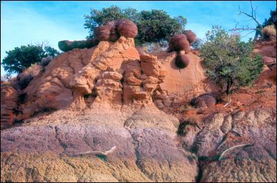 New Mexico Badlands - Cejita Blanca 2010 - Digital Print