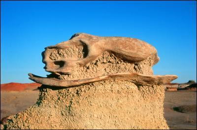 New Mexico Badlands - Bisti 2008 - Digital Print