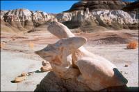 New Mexico Badlands - Bisti 2007 - Digital Print