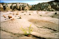 New Mexico Badlands - Bisti 2007 - Digital Print