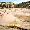 Bisti 2007 - Digital Print Photography - By Michael Snouffer, Landscape Photography Artist