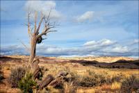 New Mexico Badlands - Cejita Blanca 2010 - Digital Print