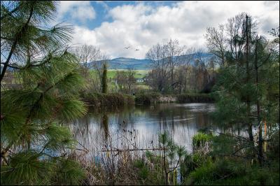 Rogue River Valley - Ashland - Digital Print