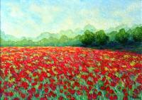 Papaveri - Oil On Canvas Paintings - By Mario Sampieri, Impressionist Painting Artist