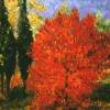 Albero Rosso - Oil On Canvas Paintings - By Mario Sampieri, Impressionist Painting Artist