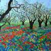 Papaveri - Oil On Canvas Paintings - By Mario Sampieri, Impressionist Painting Artist