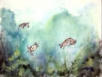 3 Sea Turtles - Watercolor Paintings - By Derek Mccrea, Realism Painting Artist