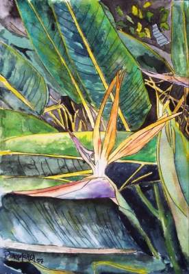 Art Of Derek Mccrea - Bird Of Paradise - Water Color