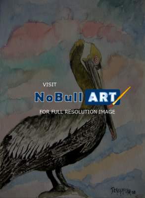 Art Of Derek Mccrea - Pelican 2 - Watercolor