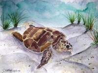 Sea Turtle 2 - Water Color Paintings - By Derek Mccrea, Impressionism Painting Artist