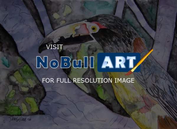 Art Of Derek Mccrea - Toucan Bird - Water Color