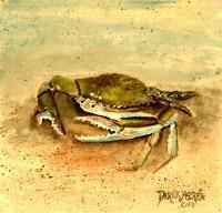 Blue Crab Acrylic Painting - Acrylic Paintings - By Derek Mccrea, Realism Painting Artist