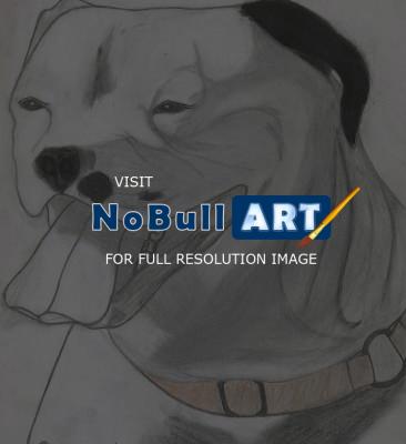Beast - Pit Bull - Pencilpaper