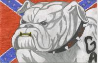 Georgia Bulldog - Pencil Colored Pencils Drawings - By Seth Reid, Free Hand Drawing Artist