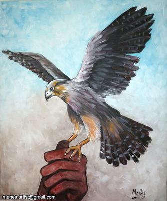 Animals - Falcon - Acrylic