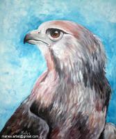 Falcon - Acrylic Paintings - By Mahesh J, Expression Painting Artist