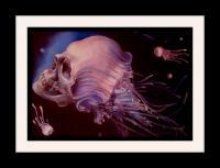 Born From The Darkness - Oils And Pencils Paintings - By Liosa Ni Chiarain, Fantasy Painting Artist