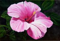 Hibiscus - Acrlic Paintings - By Lyndsey Hatchwell, Realism Painting Artist