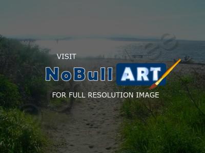 Photography - Sunny Northwest Beach - Digital Photography