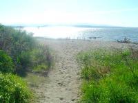 Photography - Sunny Northwest Beach - Digital Photography