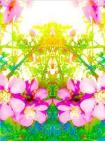 Mixed Media Pink Flowers - Mixed Media Mixed Media - By Chris Lee, Mixed Media Mixed Media Artist