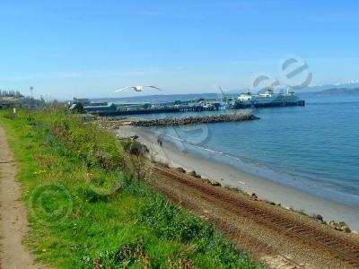 Photography - Seagull Flying Over The Beach - Digital Photography