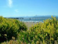 Wildflowers On The Beach - Digital Photography Photography - By Chris Lee, Digital Photography Photography Artist