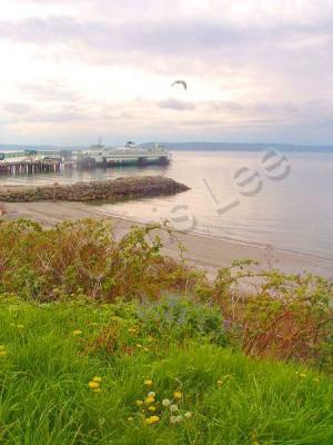 Photography - Lavender And Green Beach - Digital Photography