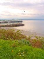 Lavender And Green Beach - Digital Photography Photography - By Chris Lee, Digital Photography Photography Artist