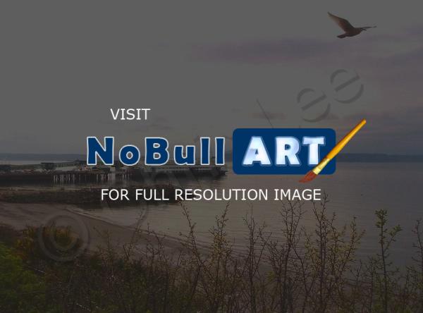 Photography - Beach And Flying Bird - Digital Photography