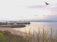 Beach And Flying Bird - Digital Photography Photography - By Chris Lee, Digital Photography Photography Artist