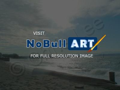 Photography - Silver Sunlit Beach - Digital Photography