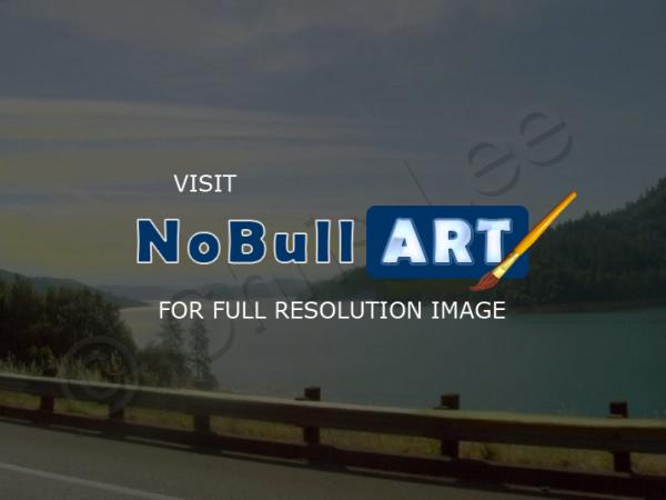 Photography - Northwest Lake Roadside View - Digital Photography