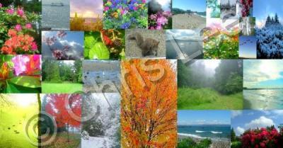 Photography - Photo Collage - Digital Photography