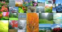 Photo Collage - Digital Photography Photography - By Chris Lee, Digital Photography Photography Artist