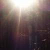 H - Phone Photography - By David Everett, Photography Photography Artist
