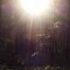 Y - Phone Photography - By David Everett, Photography Photography Artist