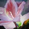 The Tree Orchid - Oil Paintings - By Donald Penwell, Oil Painting Painting Artist