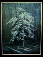 Georgia - Dogwood Under Full Moon - Oil On Canvas