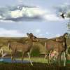 Our Deer Adventure - Digital Digital - By Todd A, Nature Digital Artist
