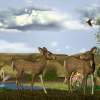 Our Deer Adventure - Digital Digital - By Todd A, Nature Digital Artist