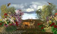 Buck N Doe - Digital Mixed Media - By Todd A, Nature Mixed Media Artist