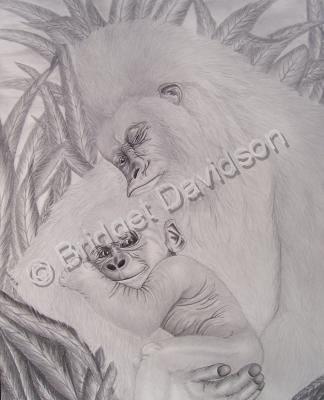 Animals - My Daddys Bigger Than Your Daddy - Graphite Pencils