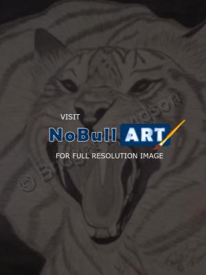Animals - Bengal Tiger - Graphite Pencils