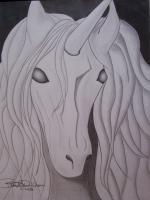 Unicorn - Graphite Pencils Drawings - By Bridget Davidson, Black And White Drawing Artist