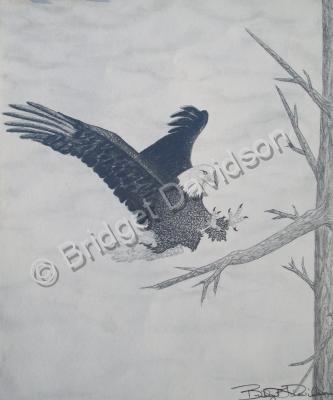 Animals - Eagles Landing - Graphite Pencils