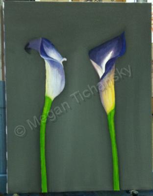 Flowers - Calla Liles - Oil On Canvas