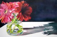Realism - Gerbera Glory - Watercolor
