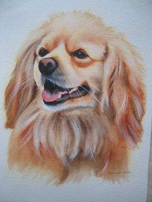 Portrait - Spaniel - Watercolor