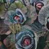 Ornamental Cabbages - Watercolor Paintings - By Sarah Bent, Realism Painting Artist